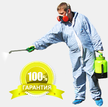 100% Гарантия на ДЕЗИНСЕКЦИЮ